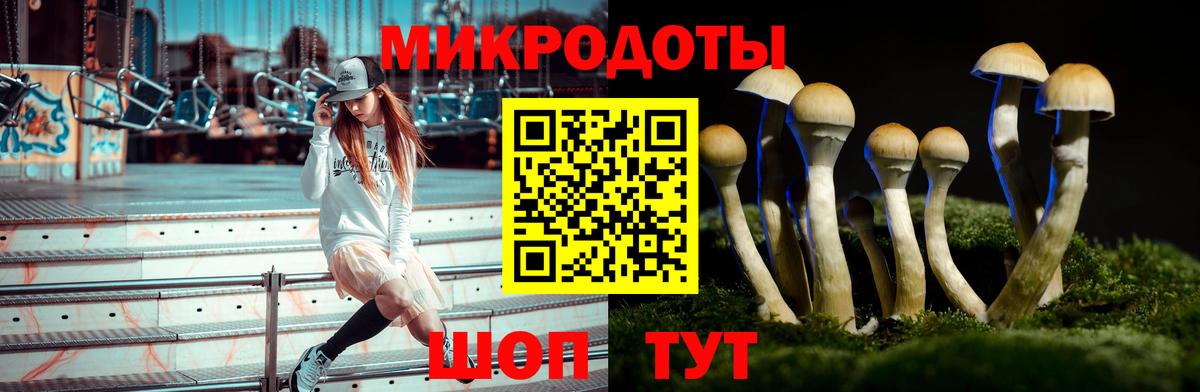 Гусь-Хрустальный  Галлюциногенные грибы мицелий  Псилоцибиновые грибы прущие грибы  Вход с VPN 